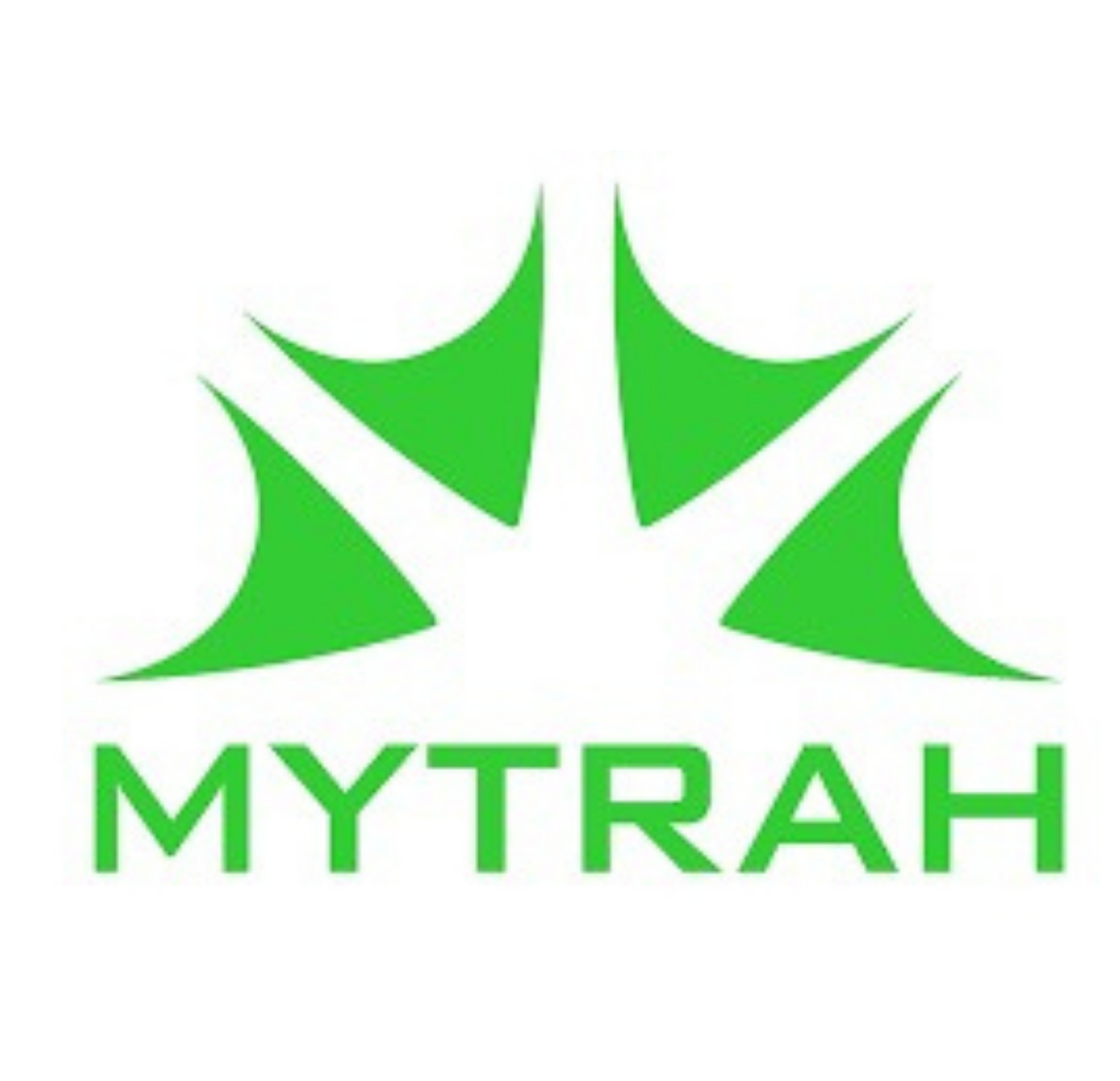 Untitled design (79)